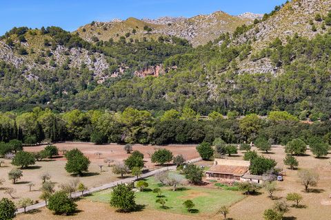 Cortijo i Pollenca, Mallorca, Pollenca - € 2 250 000 | Ref: POL52580 - foto 6