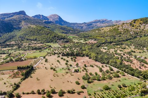 Cortijo i Pollenca, Mallorca, Pollenca - € 2 250 000 | Ref: POL52580 - foto 7