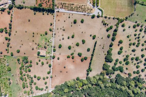 Cortijo i Pollenca, Mallorca, Pollenca - € 2 250 000 | Ref: POL52580 - foto 8
