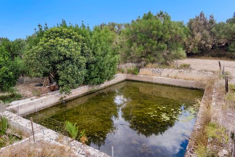 Landejendom i Algaida, Mallorca, Algaida - € 4.200.000 | Ref: ALG52697RM - foto 13