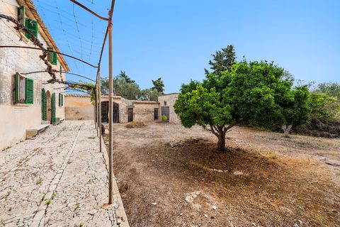 Landejendom i Algaida, Mallorca, Algaida - € 4.200.000 | Ref: ALG52697RM - foto 14