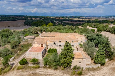 Landejendom i Algaida, Mallorca, Algaida - € 4.200.000 | Ref: ALG52697RM - foto 15
