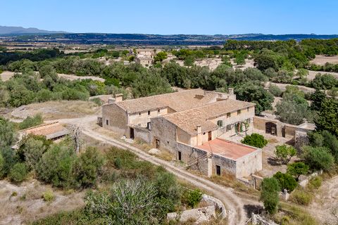 Landejendom i Algaida, Mallorca, Algaida - € 4.200.000 | Ref: ALG52697RM - foto 16