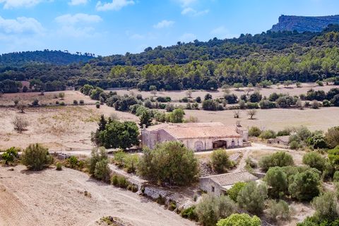 Landejendom i Algaida, Mallorca, Algaida - € 4.200.000 | Ref: ALG52697RM - foto 17
