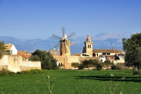 Landejendom i Algaida, Mallorca, Algaida - € 4.200.000 | Ref: ALG52697RM - foto 19