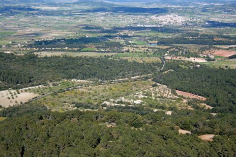 Landejendom i Algaida, Mallorca, Algaida - € 4.200.000 | Ref: ALG52697RM - foto 20