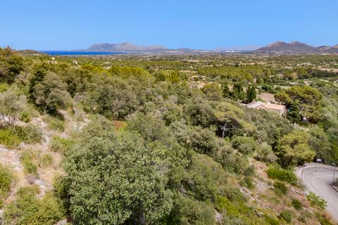 Tomt i Pollenca, Mallorca, Pollenca - € 916 000 | Ref: POL0556d - foto 7