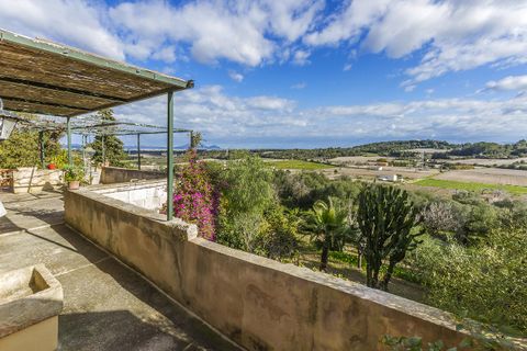 Landsbyhus i Muro, Mallorca, Muro - € 1.300.000 | Ref: MUR20203ETV - foto 6