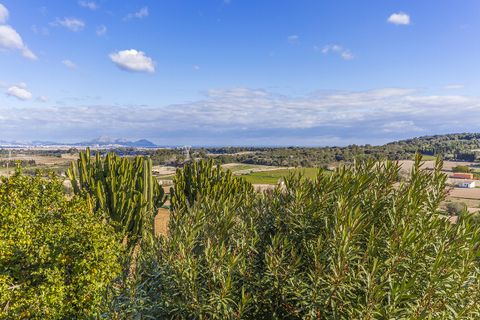 Landsbyhus i Muro, Mallorca, Muro - € 1.300.000 | Ref: MUR20203ETV - foto 14