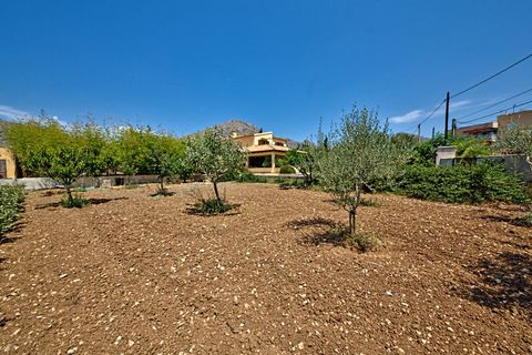 Villa a Port De Pollenca, Mallorca, Port De Pollenca - € 900.000 | Ref: PTP40537ETV - foto 12