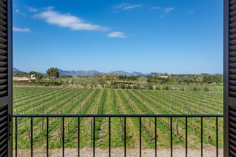 Landejendom i Pollenca, Mallorca, Pollenca - € 4.200.000 | Ref: POL52643RM - foto 17