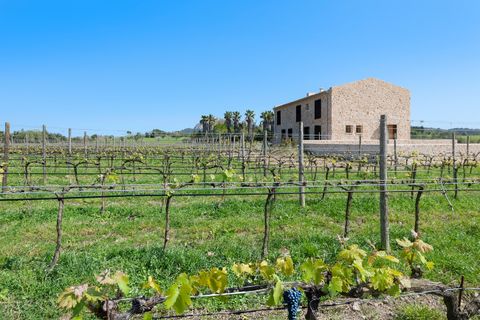 Landejendom i Pollenca, Mallorca, Pollenca - € 4.200.000 | Ref: POL52643RM - foto 26