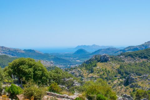 Cortijo i Pollenca, Mallorca, Pollenca - € 8.500.000 | Ref: POL52425RM - foto 3