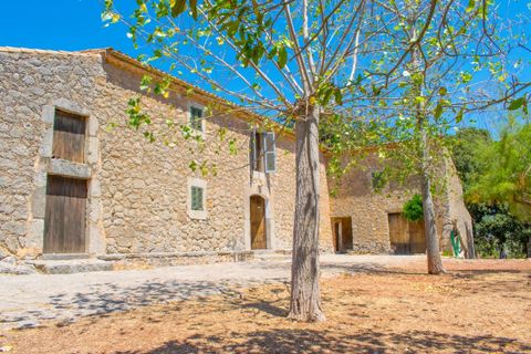 Cortijo i Pollenca, Mallorca, Pollenca - € 8.500.000 | Ref: POL52425RM - foto 13