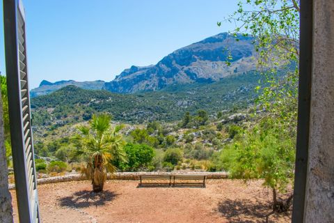 Cortijo i Pollenca, Mallorca, Pollenca - € 8.500.000 | Ref: POL52425RM - foto 14