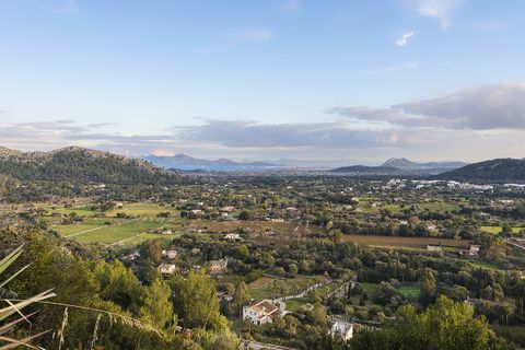 Tomt i Pollenca, Mallorca, Pollenca - € 795 000 | Ref: POL0237 - foto 6