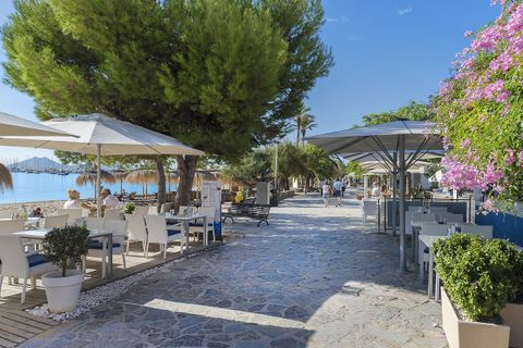 Tomt i Pollenca, Mallorca, Pollenca - € 795 000 | Ref: POL0237 - foto 9