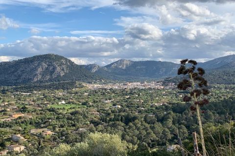 Tomt i Pollenca, Mallorca, Pollenca - € 795 000 | Ref: POL0237 - foto 11