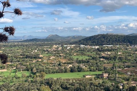 Tomt i Pollenca, Mallorca, Pollenca - € 795 000 | Ref: POL0237 - foto 12