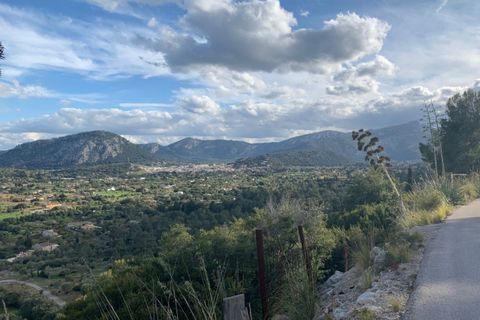 Tomt i Pollenca, Mallorca, Pollenca - € 795 000 | Ref: POL0237 - foto 13