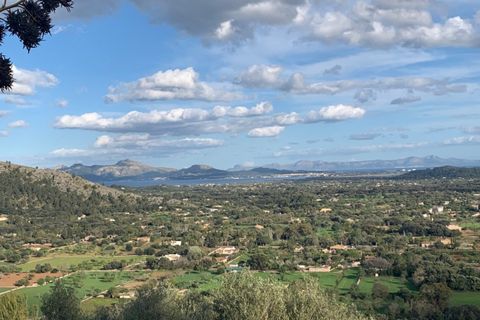 Tomt i Pollenca, Mallorca, Pollenca - € 795 000 | Ref: POL0237 - foto 14
