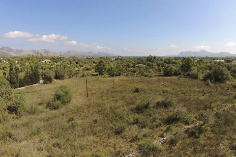 Tomt i Pollenca, Mallorca, Pollenca - € 1 260 000 | Ref: POL0364 - foto 7
