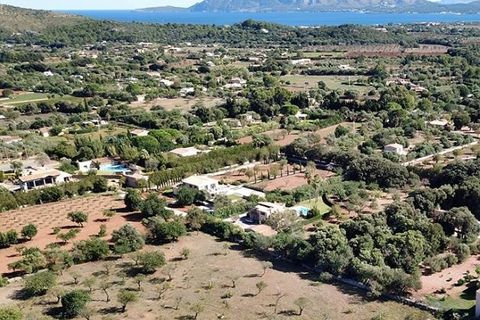 Tomt i Pollenca, Mallorca, Pollenca - € 1 160 000 | Ref: POL0465 - foto 5