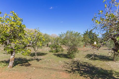 Tomt i Pollenca, Mallorca, Pollenca - € 1 160 000 | Ref: POL0465 - foto 9
