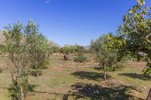 Tomt i Pollenca, Mallorca, Pollenca - € 1 160 000 | Ref: POL0465 - foto 10