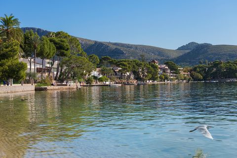Tomt i Pollenca, Mallorca, Pollenca - € 1 160 000 | Ref: POL0465 - foto 13