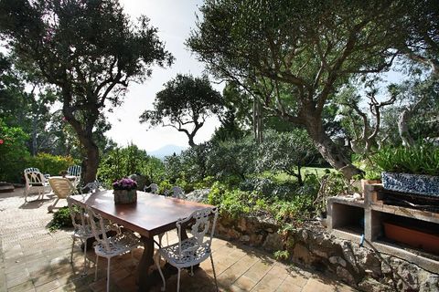 Landejendom i Pollenca, Mallorca, Pollenca - € 3.500.000 | Ref: POL5421 - foto 6