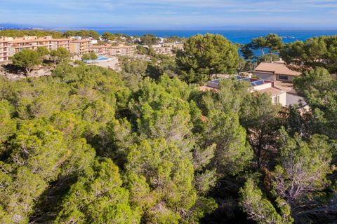 Helårsgrund i Sol De Mallorca, Mallorca, Sol De Mallorca - € 965.000 | Ref: SWOSDM0215 - foto 4