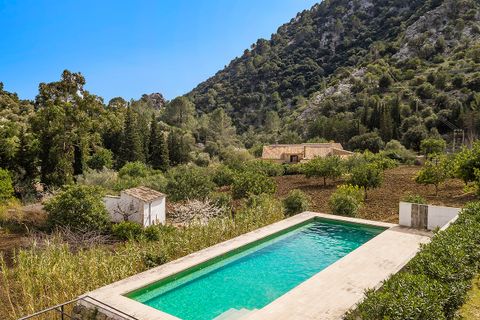 Landejendom i Selva, Mallorca, Selva - € 6.900.000 | Ref: SEL52527 - foto 2