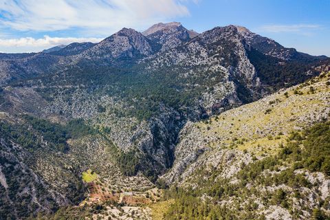 Landejendom i Selva, Mallorca, Selva - € 6.900.000 | Ref: SEL52527 - foto 21