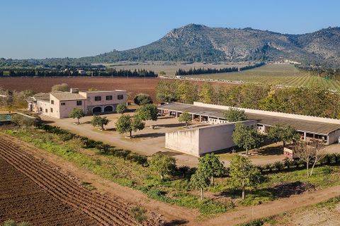 Cortijo i Llubi, Mallorca, Llubi - € 2 950 000 | Ref: LLI52443 - foto 3