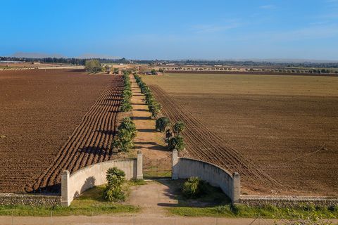 Cortijo i Llubi, Mallorca, Llubi - € 2 950 000 | Ref: LLI52443 - foto 6