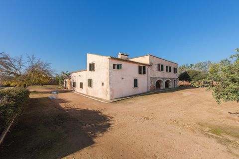 Cortijo i Llubi, Mallorca, Llubi - € 2 950 000 | Ref: LLI52443 - foto 7