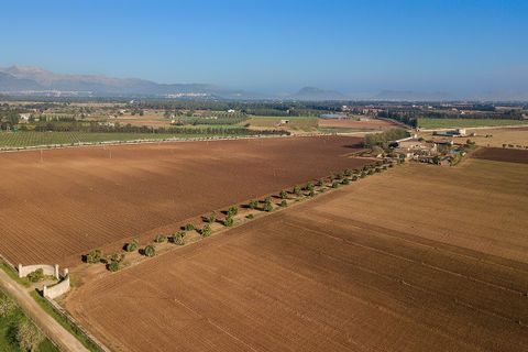 Cortijo i Llubi, Mallorca, Llubi - € 2 950 000 | Ref: LLI52443 - foto 12