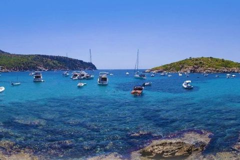 Villa a Formentor, Mallorca, Formentor - € 7.500.000 | Ref: FOR40348PTP4 - foto 16