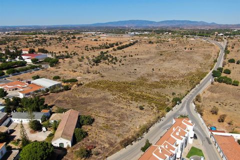 Helårsgrund i Lagoa, Faro, Lagoa - € 6.500.000 | Ref: VH419PTM - foto 6