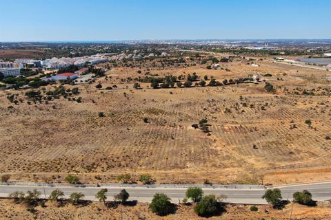 Helårsgrund i Lagoa, Faro, Lagoa - € 6.500.000 | Ref: VH419PTM - foto 10