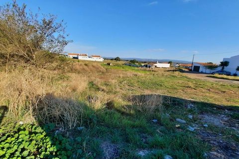 Terra a Serpa, Beja, Serpa - € 16.500 | Ref: 0024 - foto 5