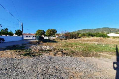 Terra a Serpa, Beja, Serpa - € 16.500 | Ref: 0024 - foto 6