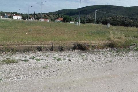 Terra a Serpa, Beja, Serpa - € 16.500 | Ref: 0024 - foto 13