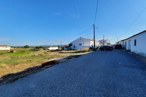 Terra a Serpa, Beja, Serpa - € 16.500 | Ref: 0024 - foto 14