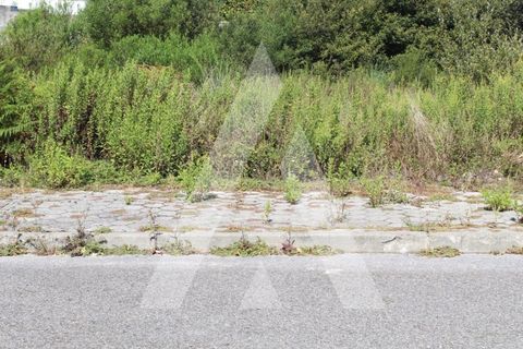 Helårsgrund i Agueda, Aveiro, Agueda - € 109.000 | Ref: 1060305/19 AL - foto 3