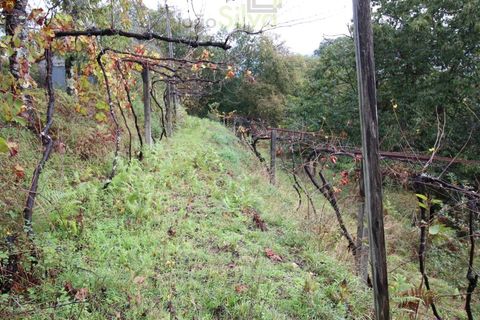 Helårsgrund i Ponte de Lima, Viana do Castelo, Ponte de Lima - € 50.000 | Ref: SÒL_1678 - foto 2