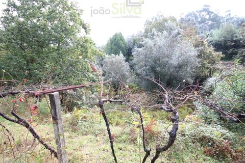 Helårsgrund i Ponte de Lima, Viana do Castelo, Ponte de Lima - € 50.000 | Ref: SÒL_1678 - foto 3