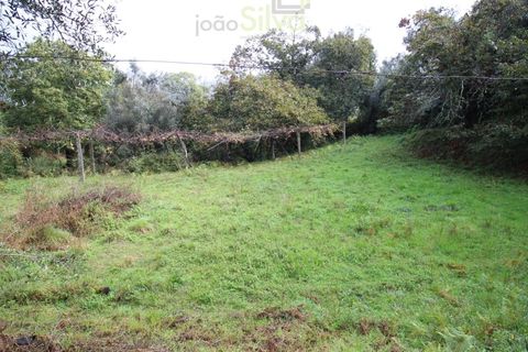 Helårsgrund i Ponte de Lima, Viana do Castelo, Ponte de Lima - € 50.000 | Ref: SÒL_1678 - foto 4