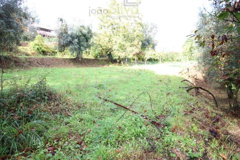 Helårsgrund i Ponte de Lima, Viana do Castelo, Ponte de Lima - € 50.000 | Ref: SÒL_1678 - foto 5